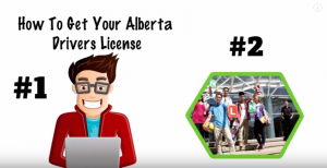 How To Get Your Alberta Drivers License